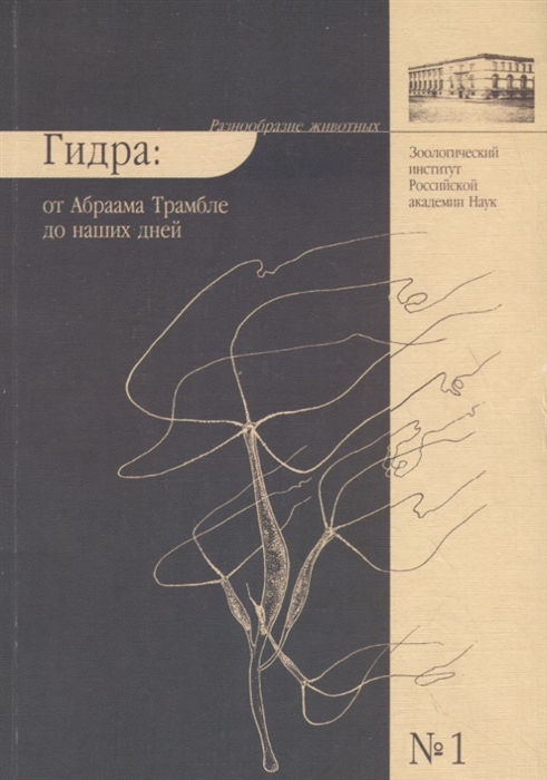 Как зайти в кракен с андроида