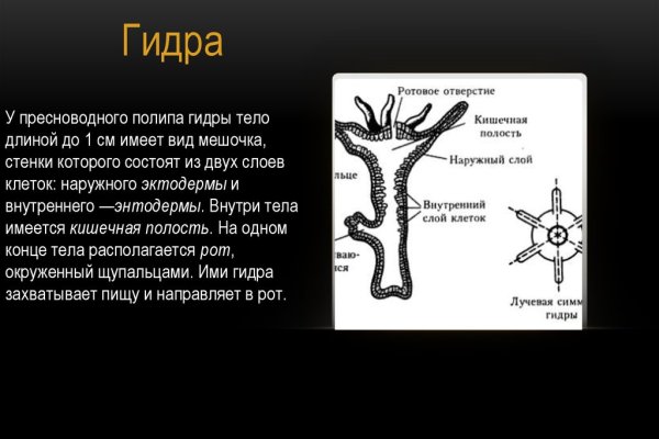 Ссылка на кракен krakens13 at